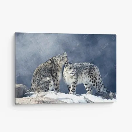 Tableau sur toile deux léopards des neiges en harmonie – Wallnifity®