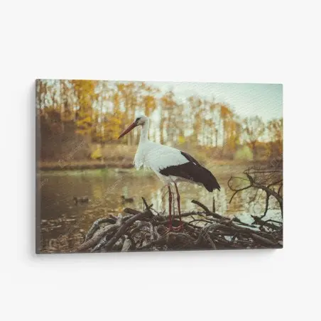 Tableau sur toile cigogne solitaire au bord du lac en automne – Wallnifity®