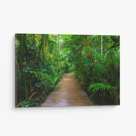 Tableau sur toile passerelle en mangrove, évasion verdoyante – Wallnifity®