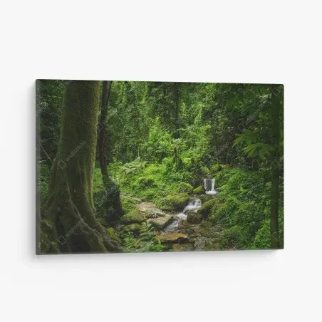 Tableau sur toile refuge verdoyant au bord du ruisseau – Wallnifity®
