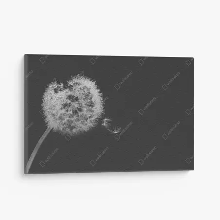 Tableau sur toile souffle de pissenlit en noir et blanc – Wallnifity®