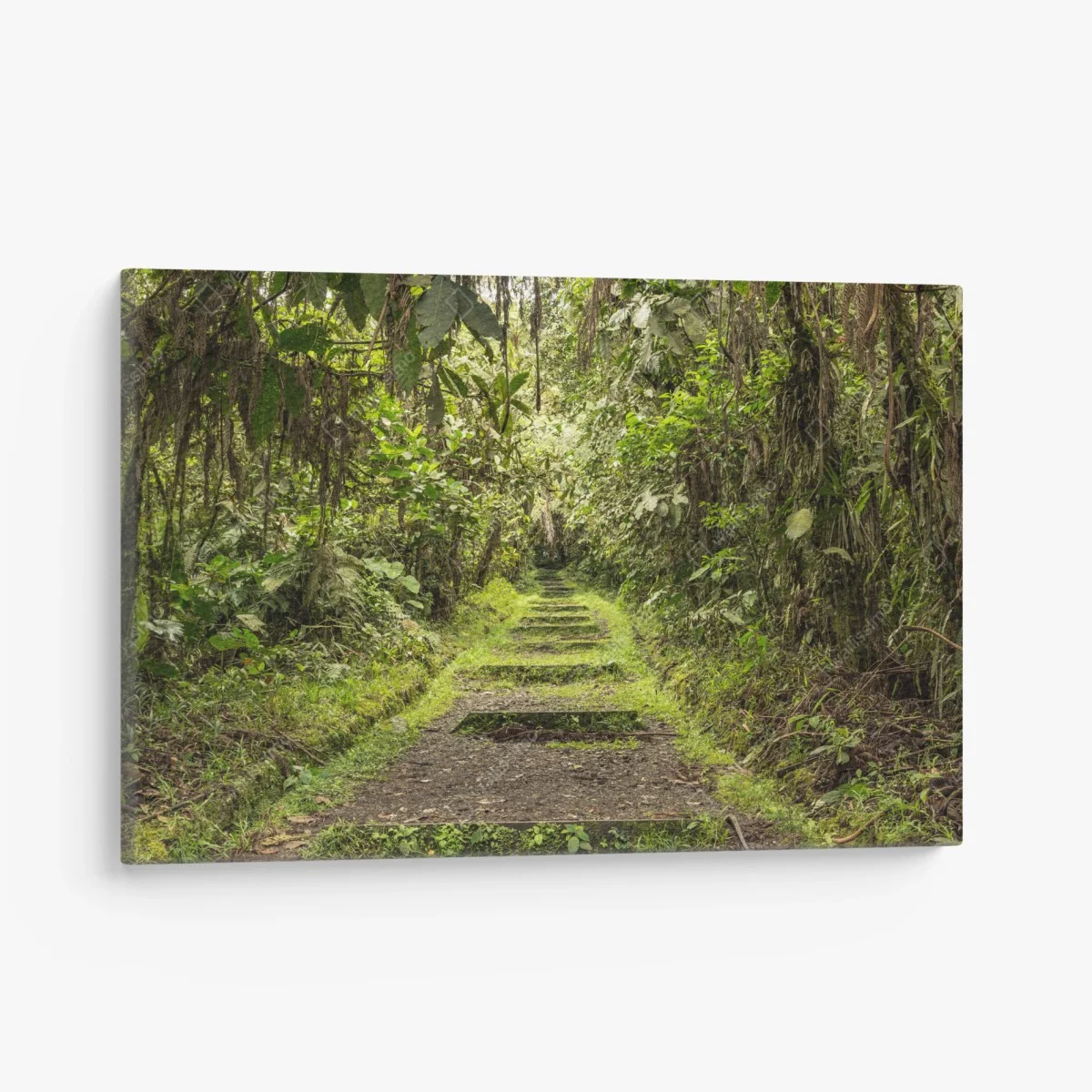 Tableau sur toile sentier tropical verdoyant – Wallnifity® Tableau sur toile sentier tropical verdoyant – Wallnifity®