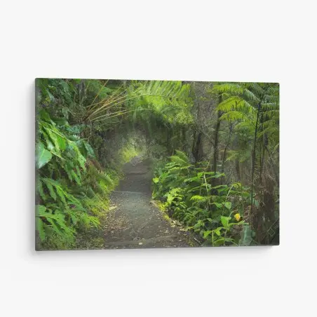 Tableau sur toile forêt tropicale luxuriante sur le sentier Kilauea Iki – Wallnifity®