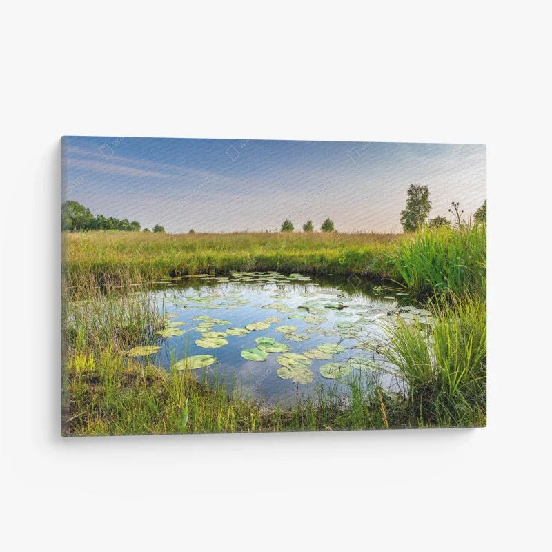 Tableaux sur toile – Wallnifity®