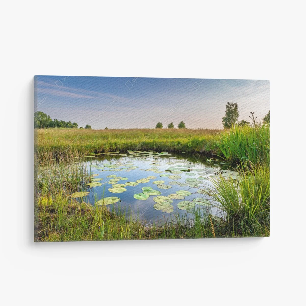 Tableau sur toile étang de nénuphars et prairie sauvage – Wallnifity® Tableau sur toile étang de nénuphars et prairie sauvage – Wallnifity®