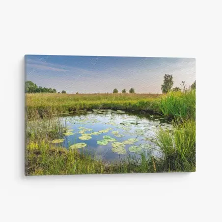 Tableau sur toile étang de nénuphars et prairie sauvage – Wallnifity®
