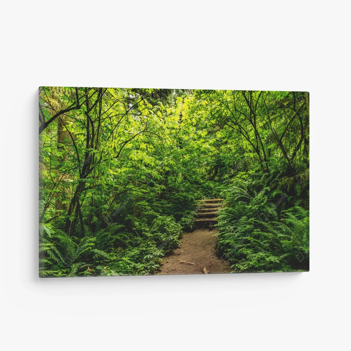 Tableau sur toile promenade au cœur d'un sous-bois verdoyant – Wallnifity® Tableau sur toile promenade au cœur d'un sous-bois verdoyant – Wallnifity®