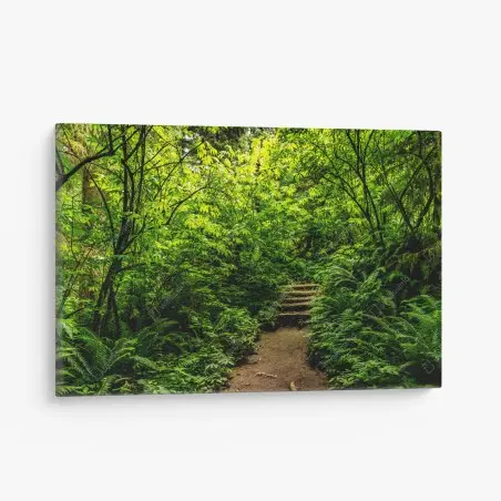 Tableau sur toile promenade au cœur d'un sous-bois verdoyant – Wallnifity®
