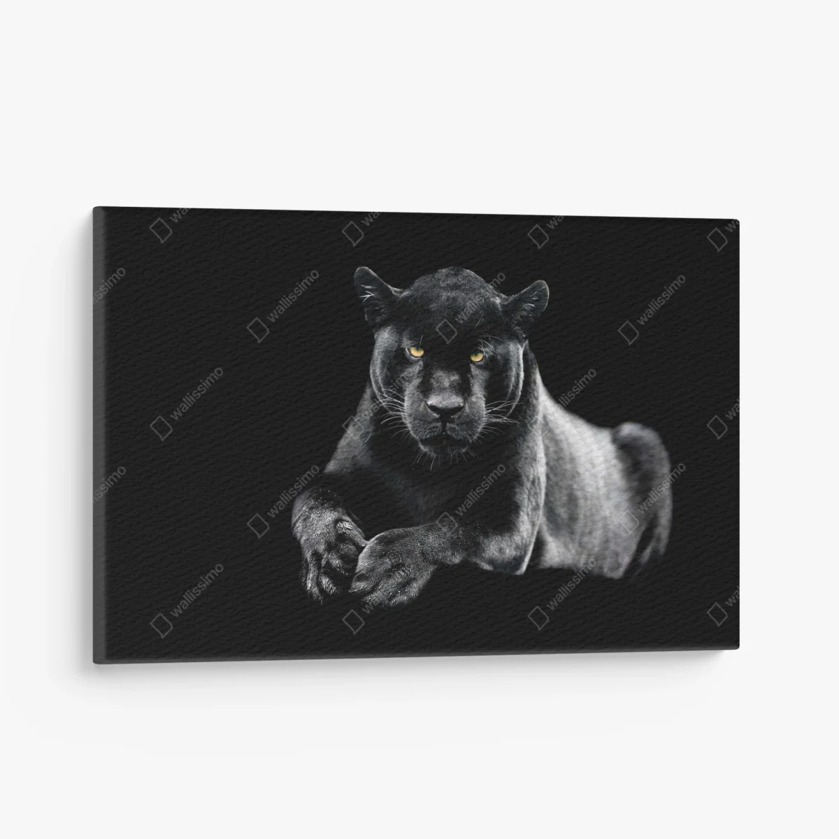 Tableau sur toile regard perçant du jaguar noir – Wallnifity® Tableau sur toile regard perçant du jaguar noir – Wallnifity®