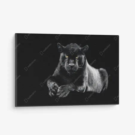 Tableau sur toile regard perçant du jaguar noir – Wallnifity®