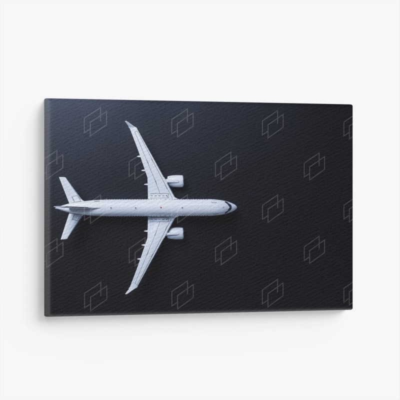 Avions – Wallnifity®