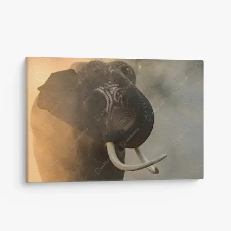 Tableau sur toile éléphant de Surin aux défenses majestueuses – Wallnifity®