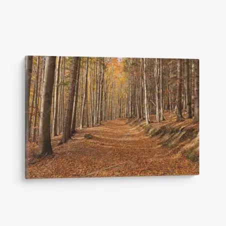 Tableau sur toile chemin d'automne en forêt dorée – Wallnifity®