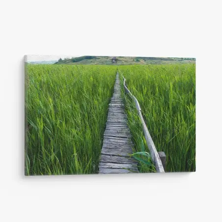 Tableau sur toile chemin de bois au milieu des hautes herbes – Wallnifity®