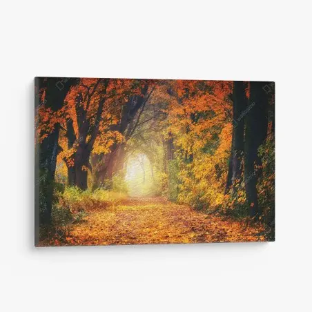 Tableau sur toile allée d'automne baignée de lumière – Wallnifity®