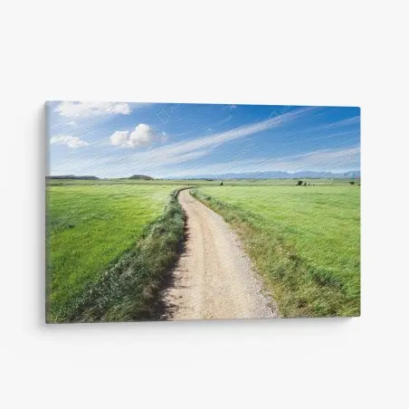 Tableau sur toile chemin campagnard sous ciel bleu – Wallnifity®