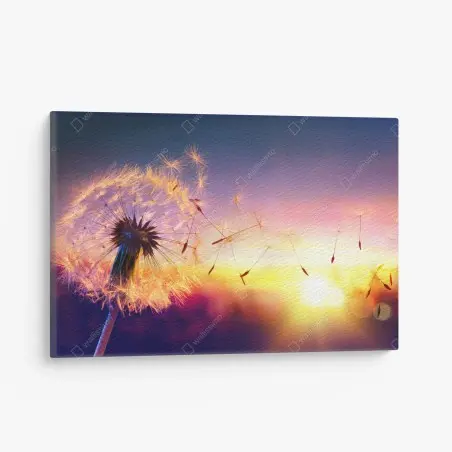 Tableau sur toile pissenlit emporté par le vent au coucher de soleil – Wallnifity®