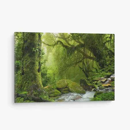 Tableau sur toile forêt verdoyante au bord du ruisseau – Wallnifity®