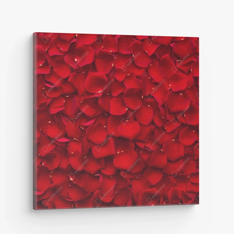 Tableaux sur toile – Wallnifity®