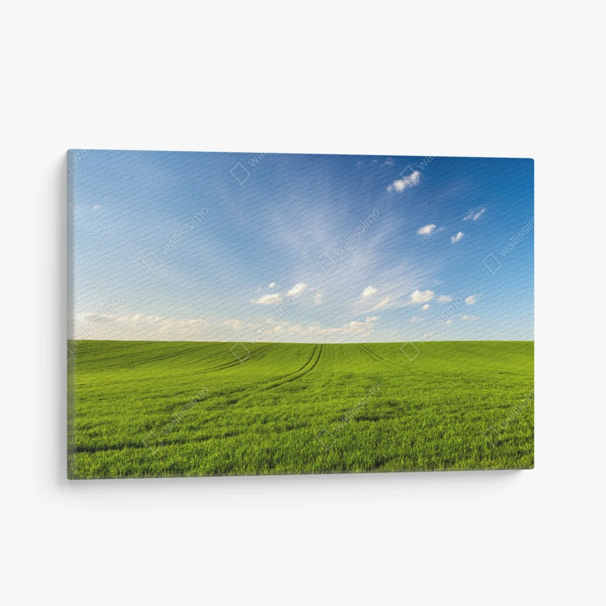 Tableau sur toile panorama champ de blé vert au printemps – Wallnifity® Tableau sur toile panorama champ de blé vert au printemps – Wallnifity®