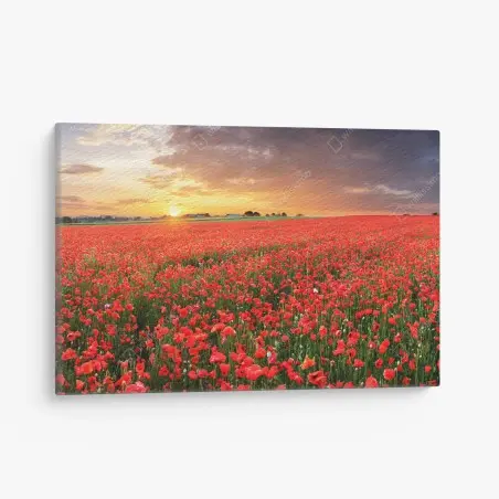 Tableau sur toile mer de coquelicots au coucher du soleil – Wallnifity®