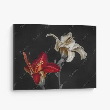 Tableau sur toile duo de lys rouge et ivoire sur fond noir – Wallnifity®
