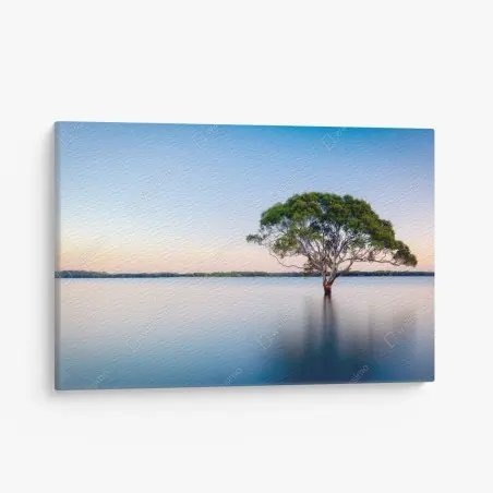 Tableau sur toile arbre solitaire au milieu du lac – Wallnifity®