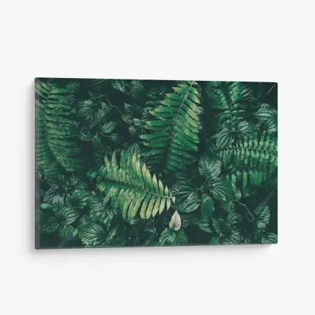 Tableau sur toile mur de verdure tropicale sombre – Wallnifity®