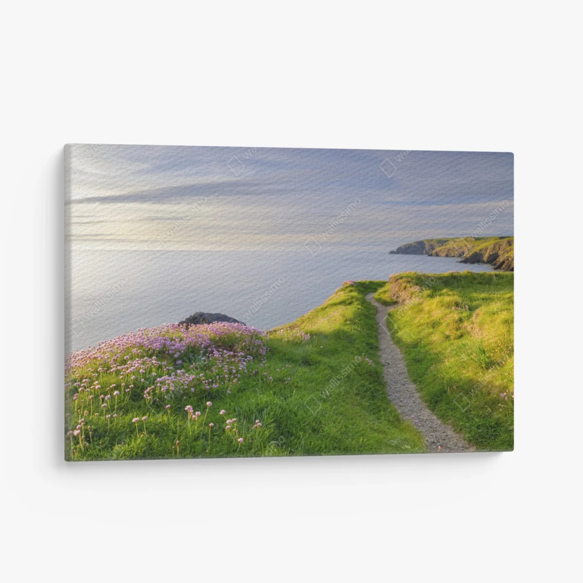 Tableau sur toile sentier côtier au crépuscule à Ceibwr Bay, Pays de Galles – Wallnifity® Tableau sur toile sentier côtier au crépuscule à Ceibwr Bay, Pays de Galles – Wallnifity®