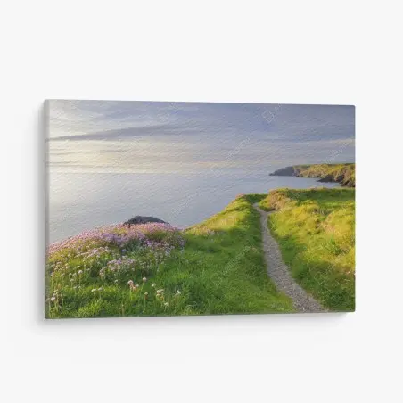 Tableau sur toile sentier côtier au crépuscule à Ceibwr Bay, Pays de Galles – Wallnifity®
