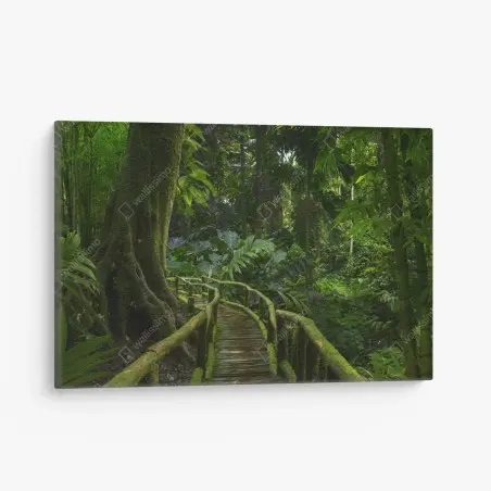Tableau sur toile promenade mystérieuse au cœur de la jungle – Wallnifity®