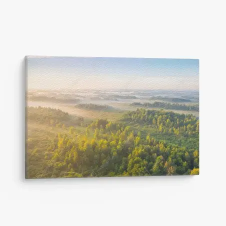 Tableau sur toile brume matinale au marais de Zvanets – Wallnifity®