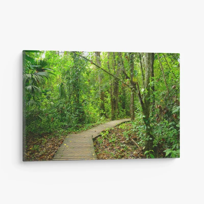 Tableau sur toile chemin en bois au cœur de la forêt tropicale – Wallnifity®