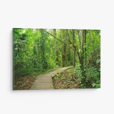 Tableau sur toile chemin en bois au cœur de la forêt tropicale – Wallnifity®