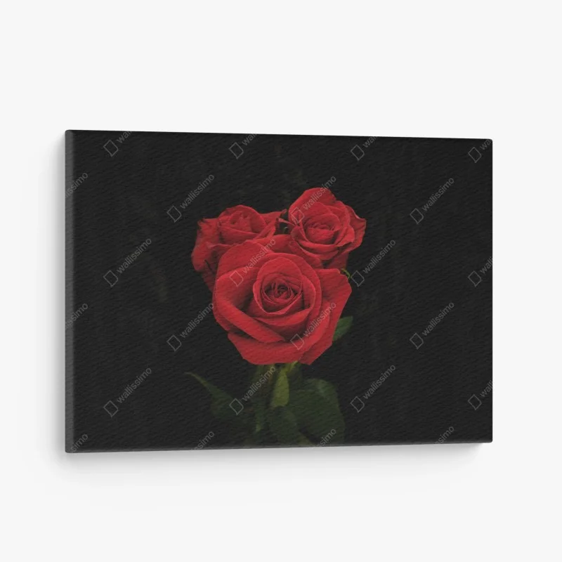 Tableaux sur toile – Wallnifity®