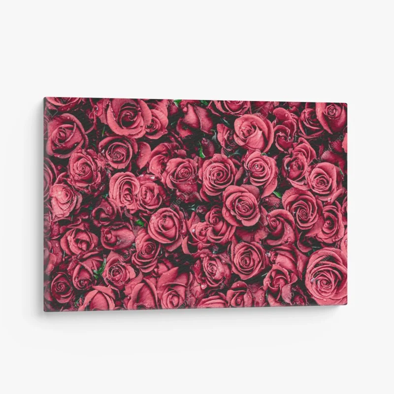 Tableaux sur toile – Wallnifity®