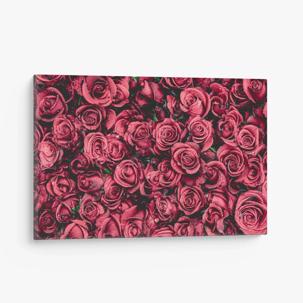 Tableau sur toile bouquet de roses rouges en gros plan – Wallnifity® Tableau sur toile bouquet de roses rouges en gros plan – Wallnifity®
