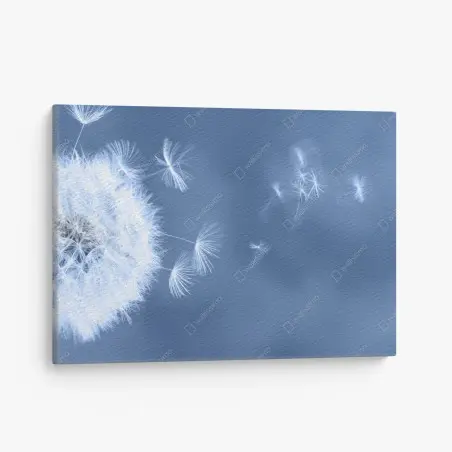 Tableau sur toile pissenlit en suspension sur fond bleu – Wallnifity®