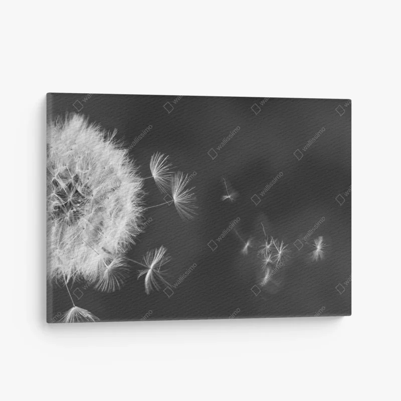 Tableaux sur toile – Wallnifity®