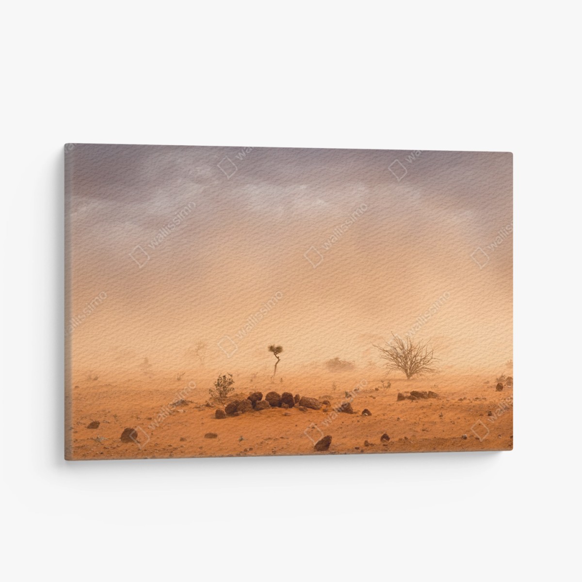 Tableau sur toile tempête de sable dans le camp de Dollo Ado – Wallnifity®