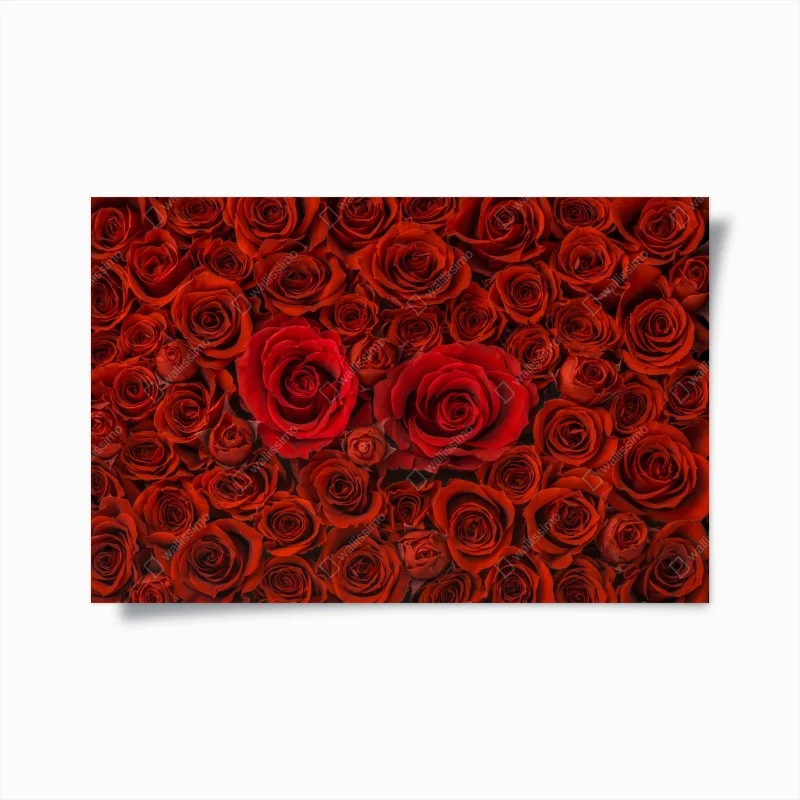 Chambre – Wallnifity®