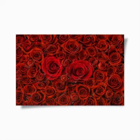 Poster mur floral de roses rouges – Wallnifity®