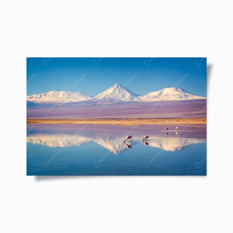Posters – Wallnifity®