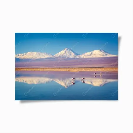 Poster reflet du volcan Licancabur sur la lagune Chaxa – Wallnifity®