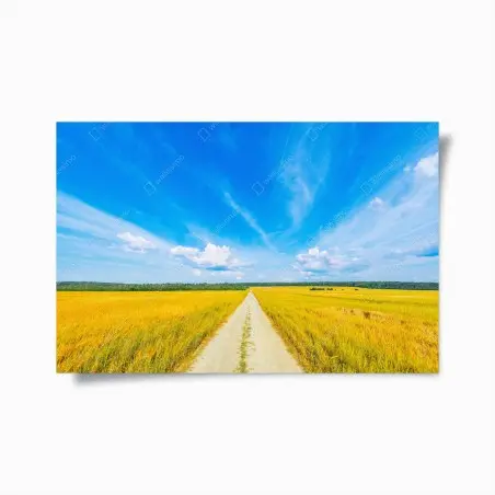 Poster route de campagne vers l'horizon doré – Wallnifity®