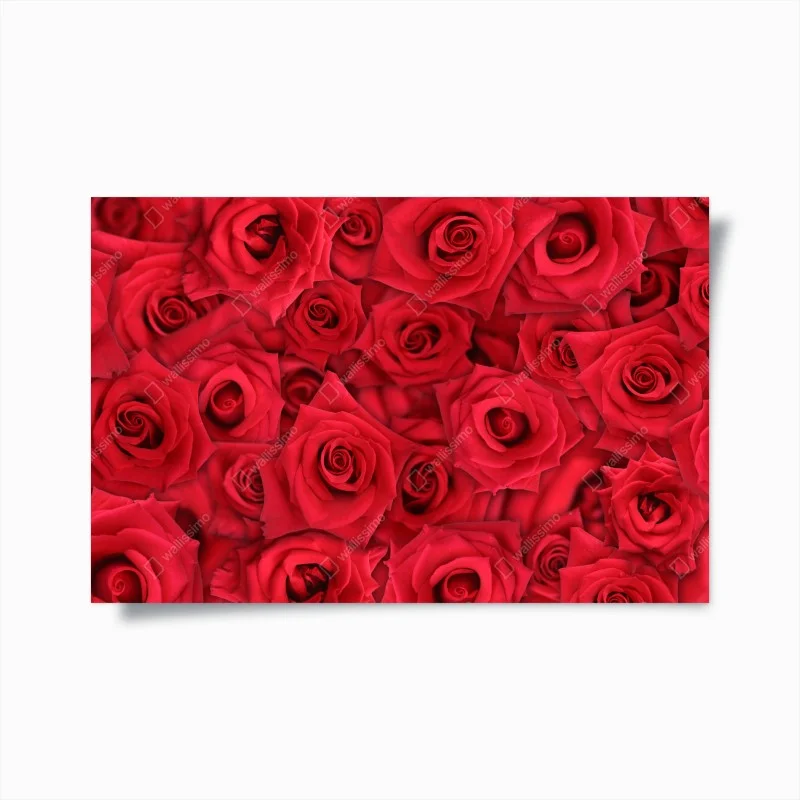 Fleurs – Wallnifity®