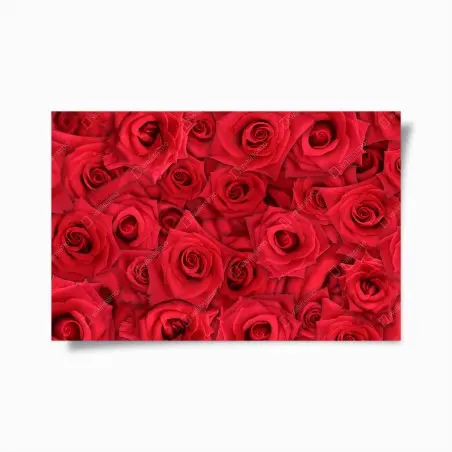 Poster motif de roses rouges en gros plan – Wallnifity®
