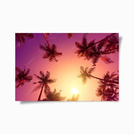 Poster paradis tropical au coucher du soleil – Wallnifity®