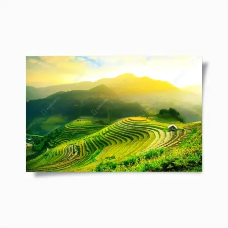 Poster rizières en terrasses au soleil doré – Wallnifity®