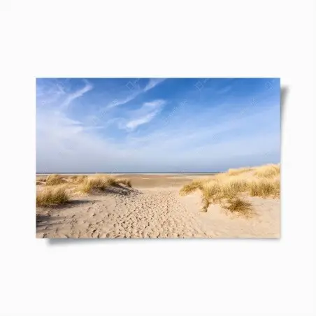 Poster paysage de dunes en Allemagne – Wallnifity®